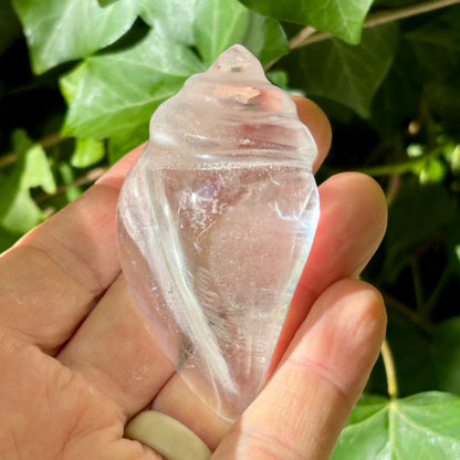 Rituel konkylie | håndskåret Himalaya Bjergkrystal | 8 cm