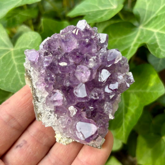 Billede af Ametyst klynge Uruguay nr 6