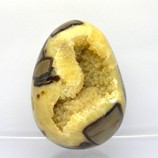Billede af Septarie drusy æg 9,5 cm | nr. 9