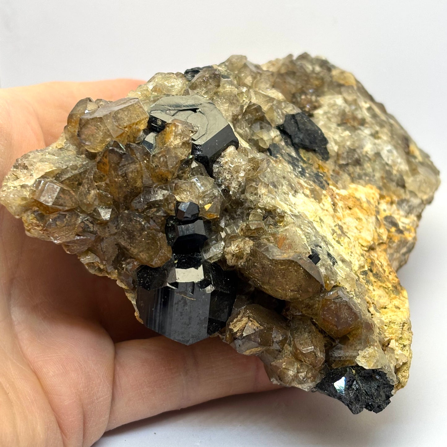 Sort Turmalin, citrin og røgkvarts klynge 16,5 cm Erongo Sort Turmalin, citrin og røgkvarts klynge 16,5 cm Erongo