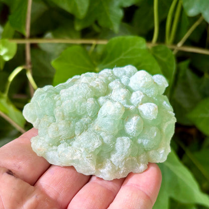 Prehnit klynge Botryoidal 8,5 cm | nr 2