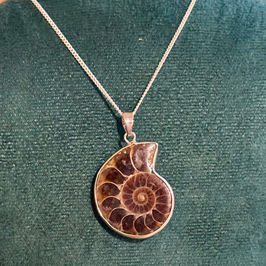 Billede af Ammonit sølv halskæde - højre drejet