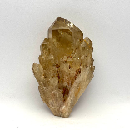 Citrin klynge 8 cm | nr. 5