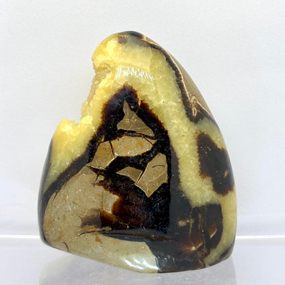 Septarie drusy skulptur 8,5 cm | nr. 4