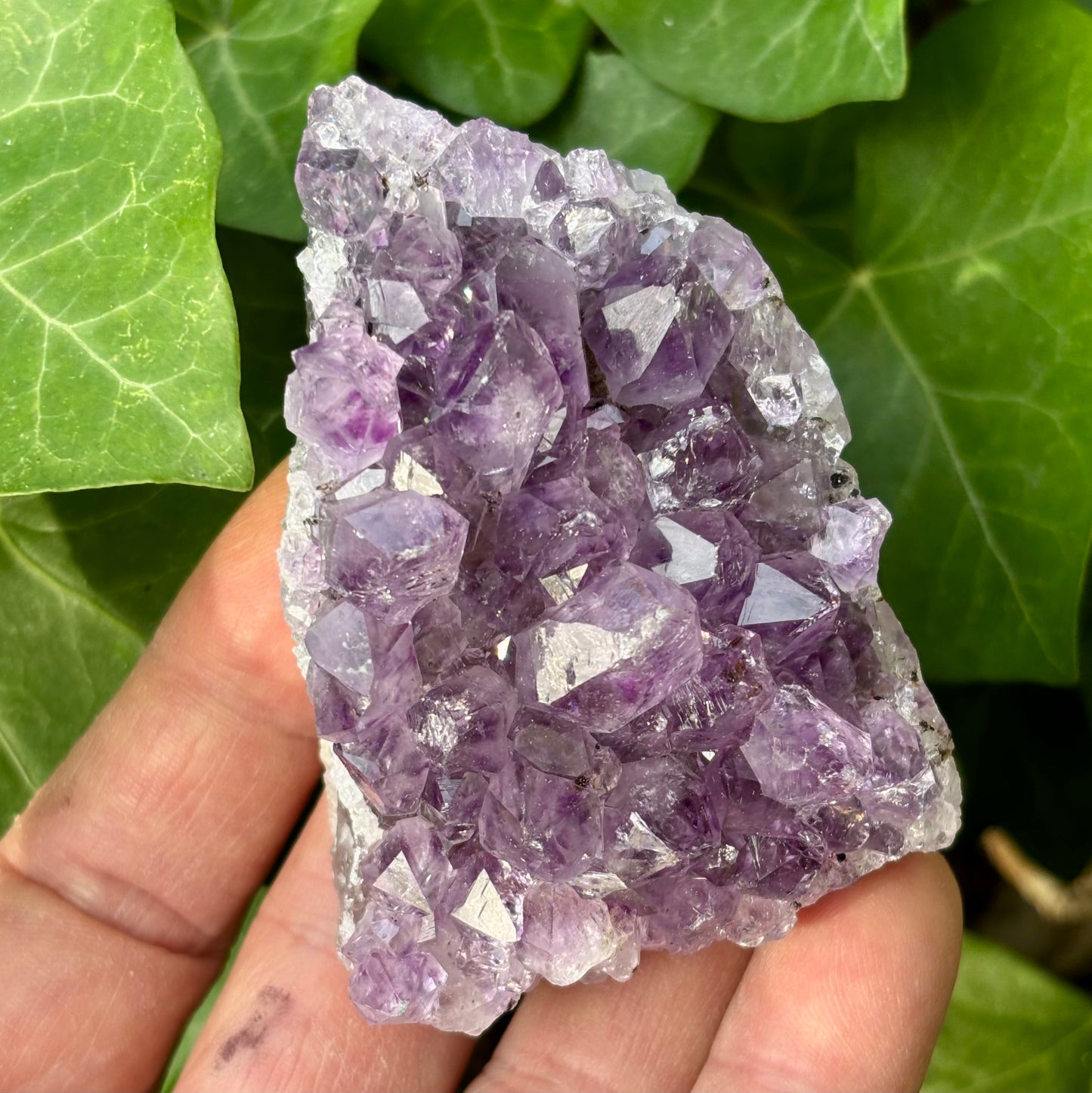 Ametyst klynge Uruguay nr 7 Ametyst klynge Uruguay nr 7