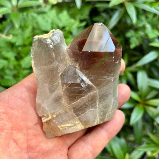 Billede af Skardu Røgkvarts naturlig 8 cm