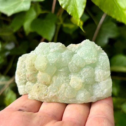 Prehnit klynge Botryoidal 8 cm | nr 6