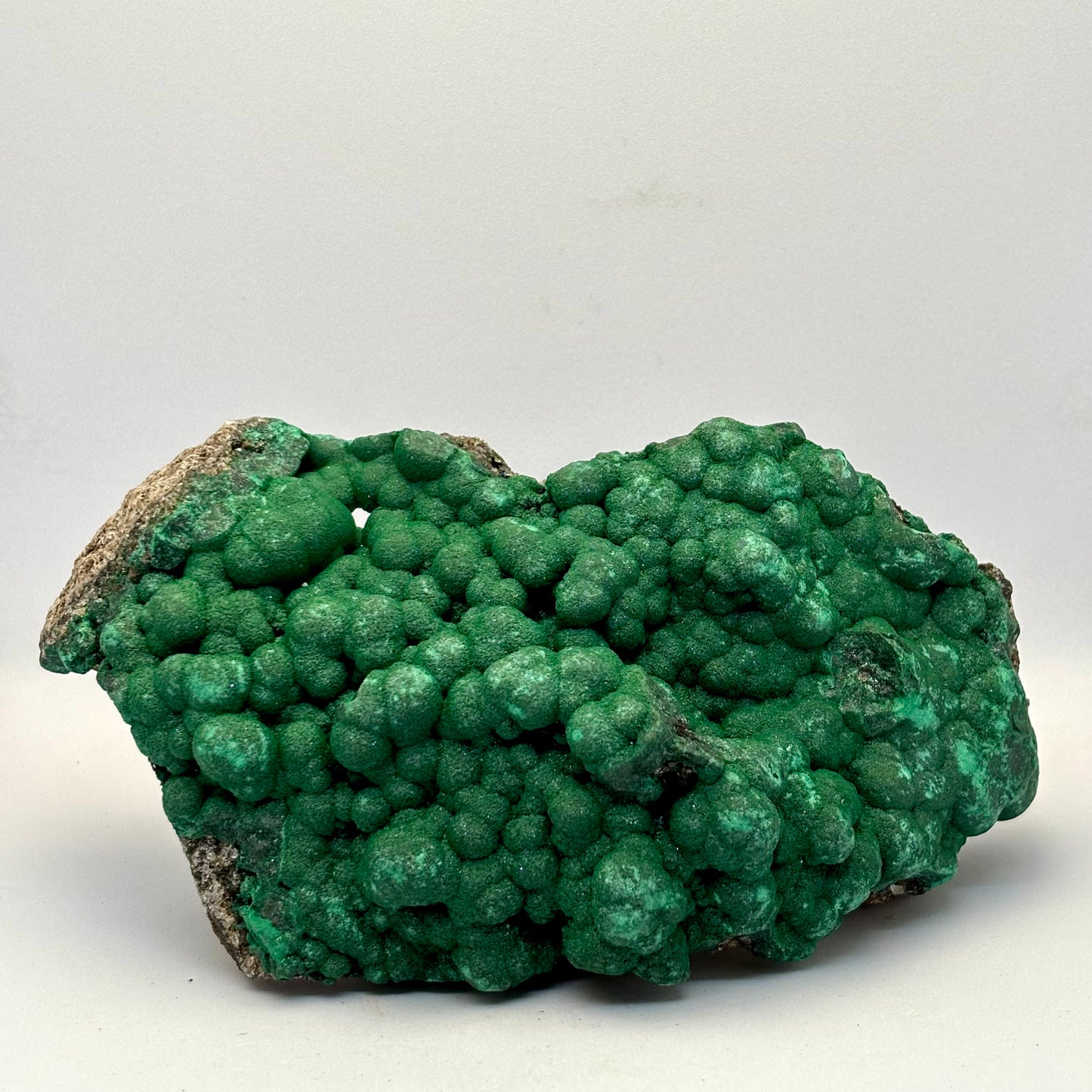 Botryoidal Malakit klynge 15,5 cm | Congo Botryoidal Malakit klynge 15,5 cm | Congo