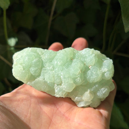 Prehnit klynge Botryoidal 10 cm | nr 3