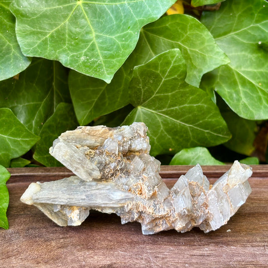 Billede af Rhombohedral Calcit klynge 10 cm | nr. 10