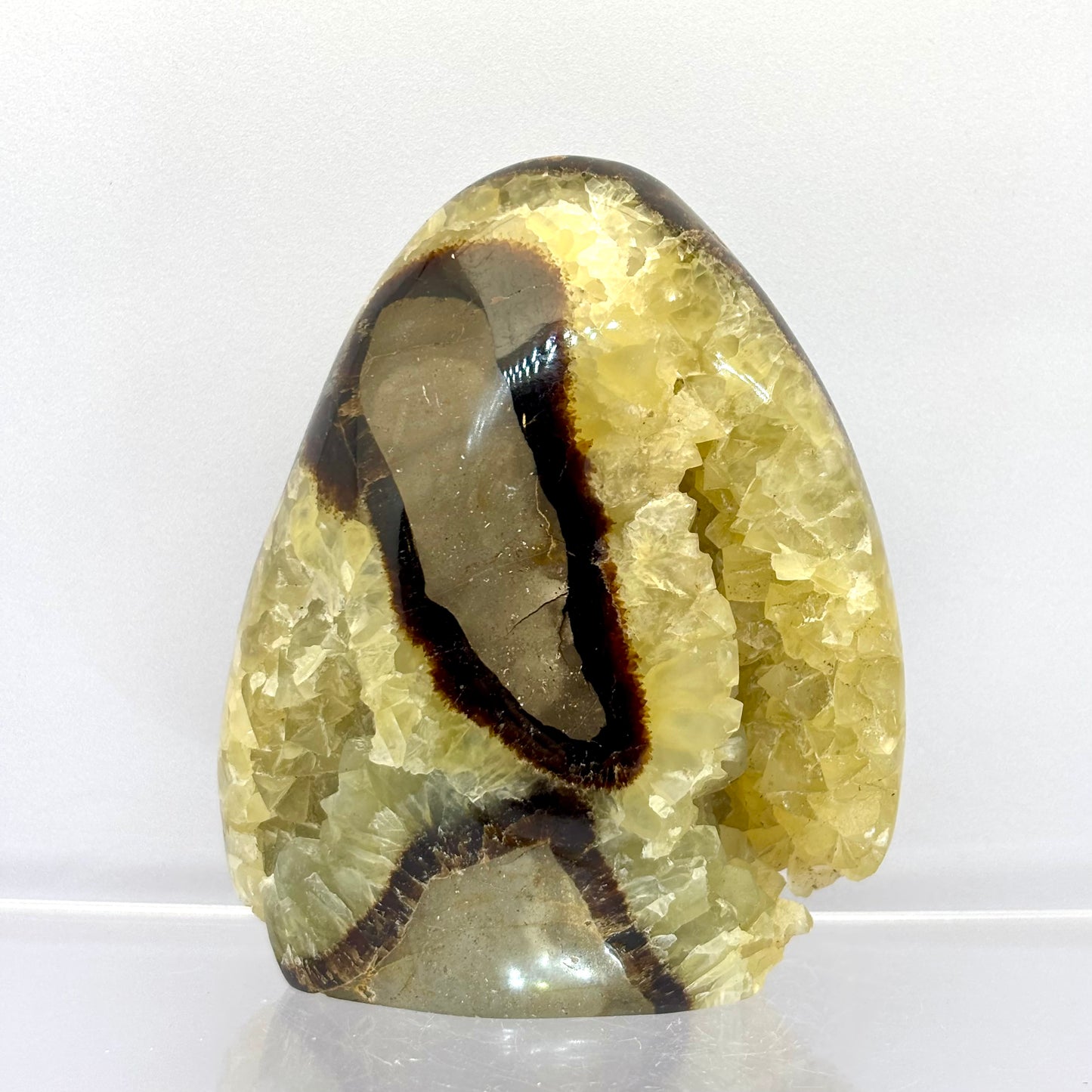 Septarie drusy skulptur 9 cm | nr. 3 Septarie drusy skulptur 9 cm | nr. 3