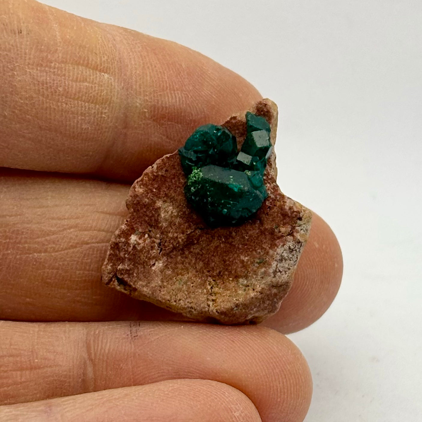 Dioptase mini klynge 3 cm Dioptase mini klynge 3 cm