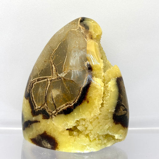 Billede af Septarie drusy skulptur 8,5 cm | nr. 4