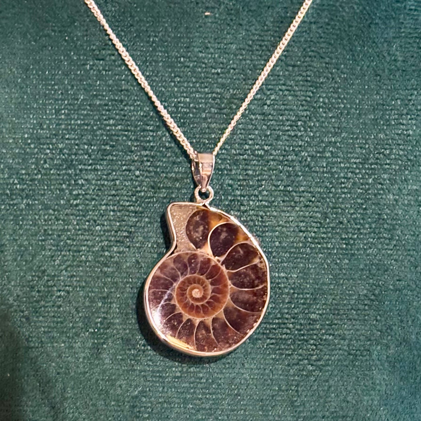 Ammonit sølv halskæde - venstre drejet Ammonit sølv halskæde - venstre drejet