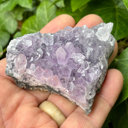 Billede af Ametyst klynge Brasilien nr 1.