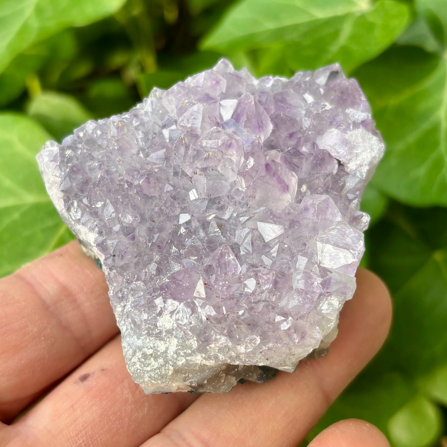 Ametyst klynge Brasilien nr 9 Ametyst klynge Brasilien nr 9