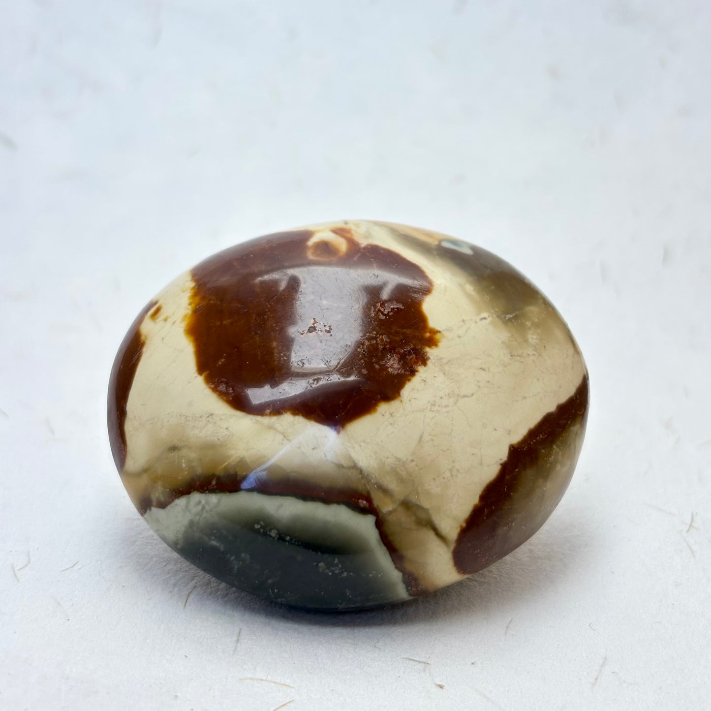 NW. M. Polychrome jaspis palmstone - 5 cm | nr. 20 NW. M. Polychrome jaspis palmstone - 5 cm | nr. 20