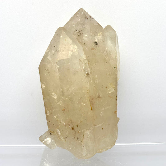 Billede af Bjergkrystal multi termineret, let poleret, Angola 10 cm | nr. 4