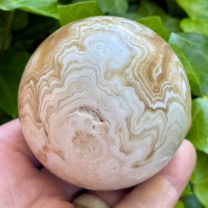 Amber flower Calcit Kugle fra Myanmar - 7 cm | nr. 5