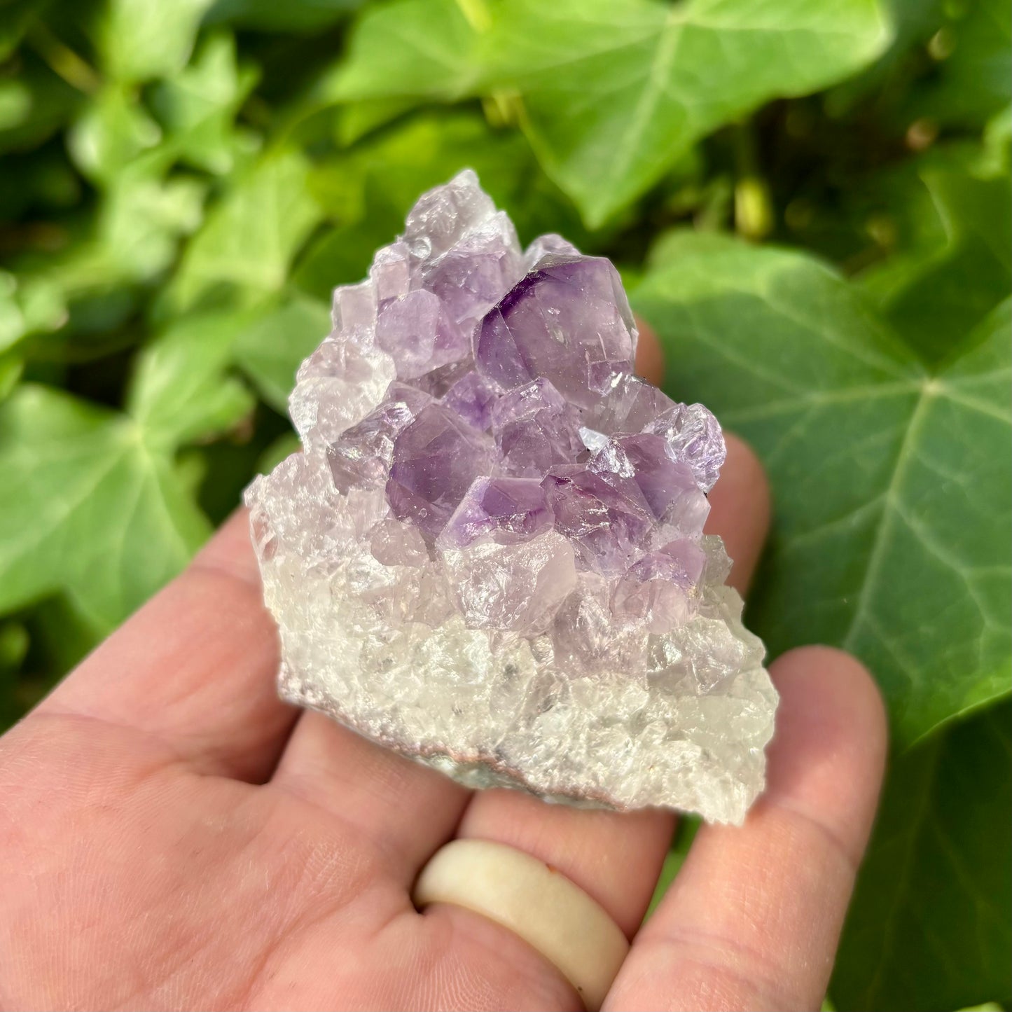 Ametyst klynge Brasilien nr 10 Ametyst klynge Brasilien nr 10