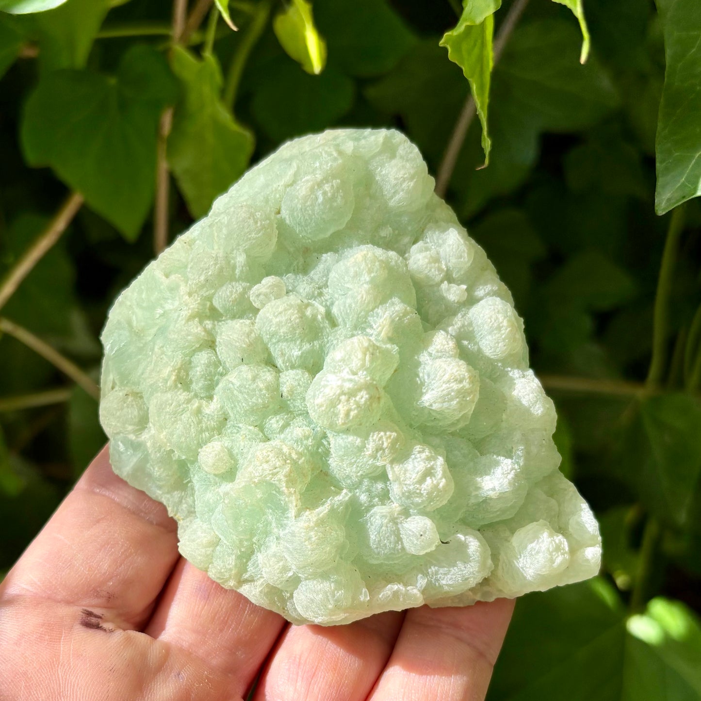 Prehnit klynge Botryoidal 10 cm | nr 5 Prehnit klynge Botryoidal 10 cm | nr 5