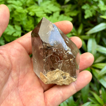 Skardu Røgkvarts naturlig 8 cm
