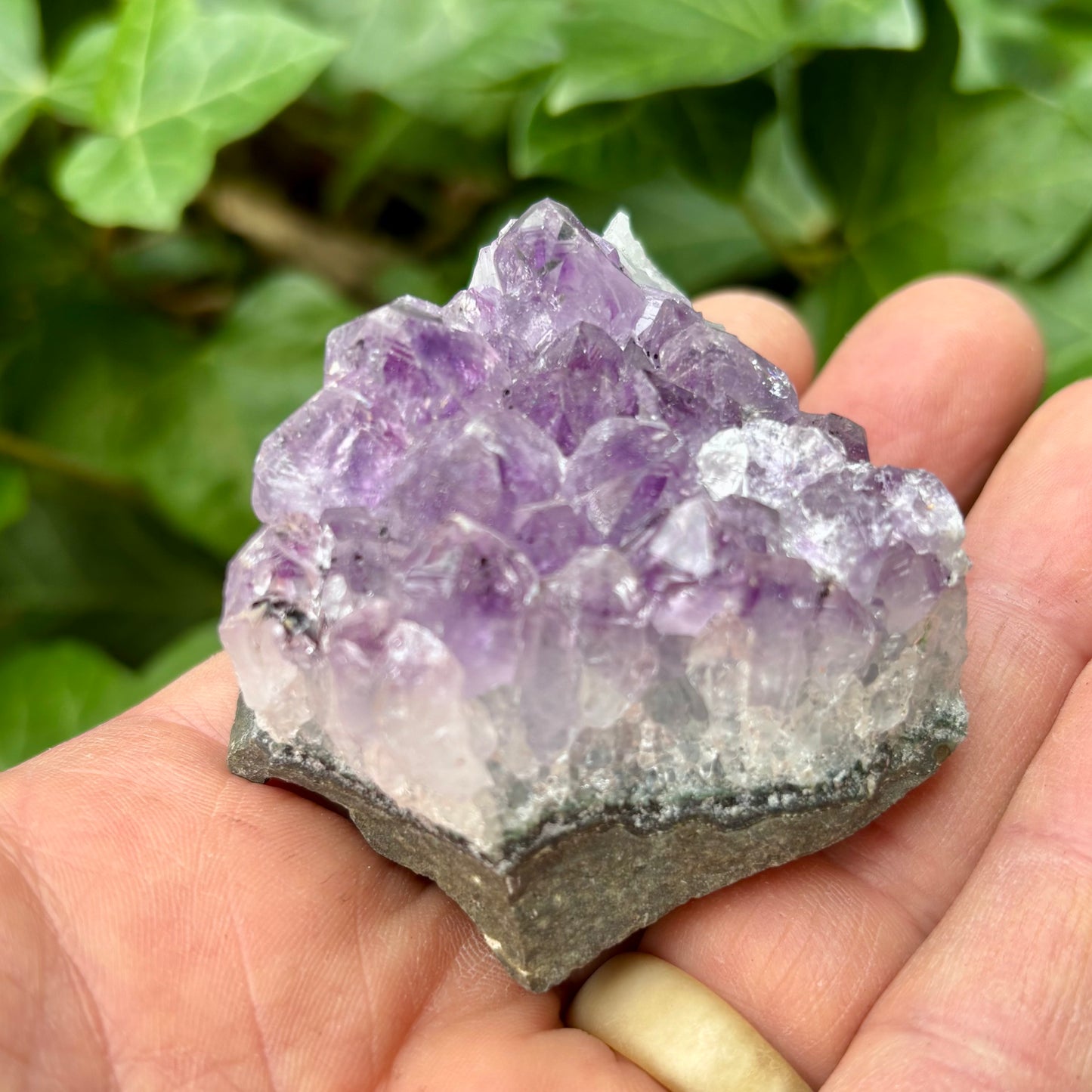 Ametyst klynge Brasilien nr 2 Ametyst klynge Brasilien nr 2