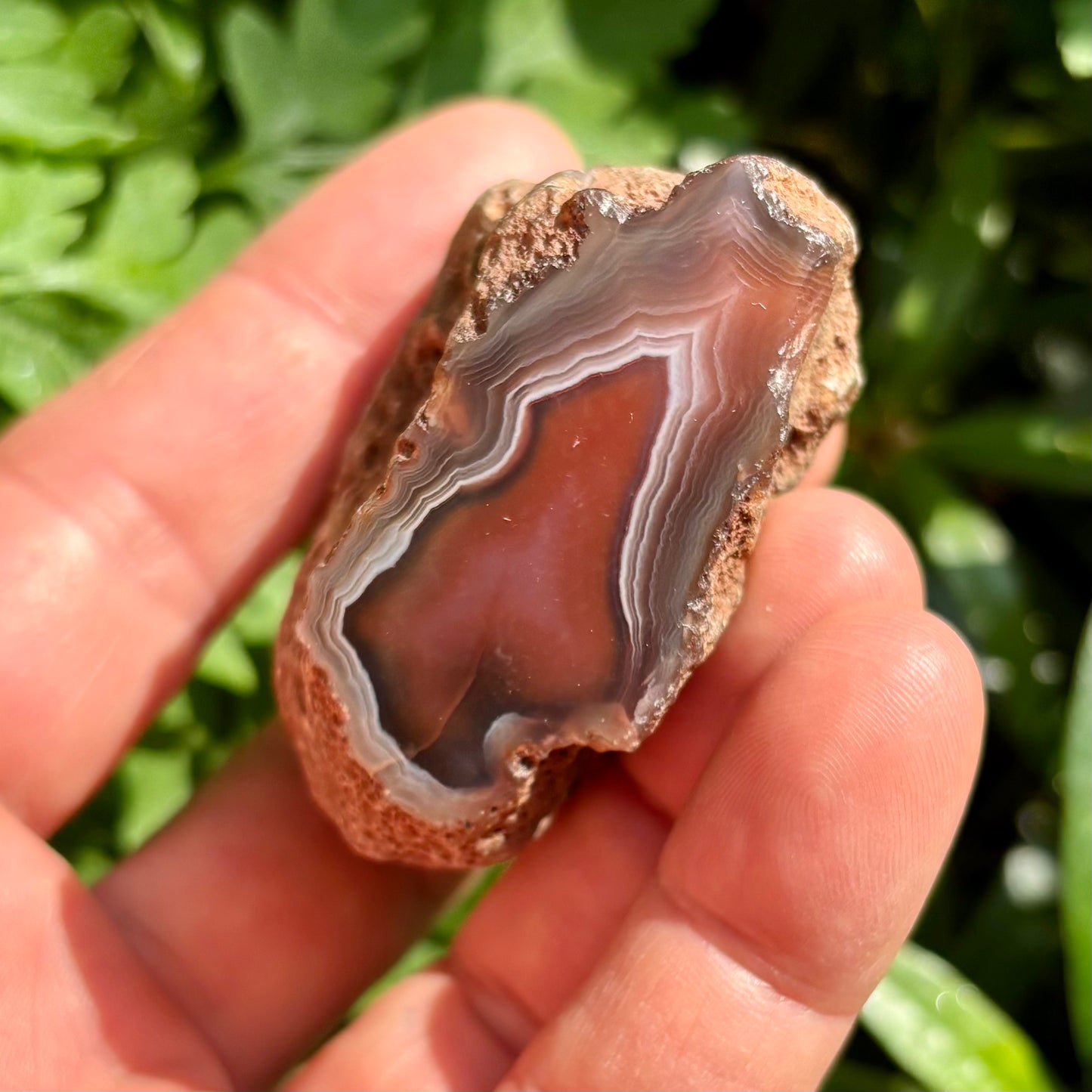 Sashe Agat nodule 8 | portal Sashe Agat nodule 8 | portal