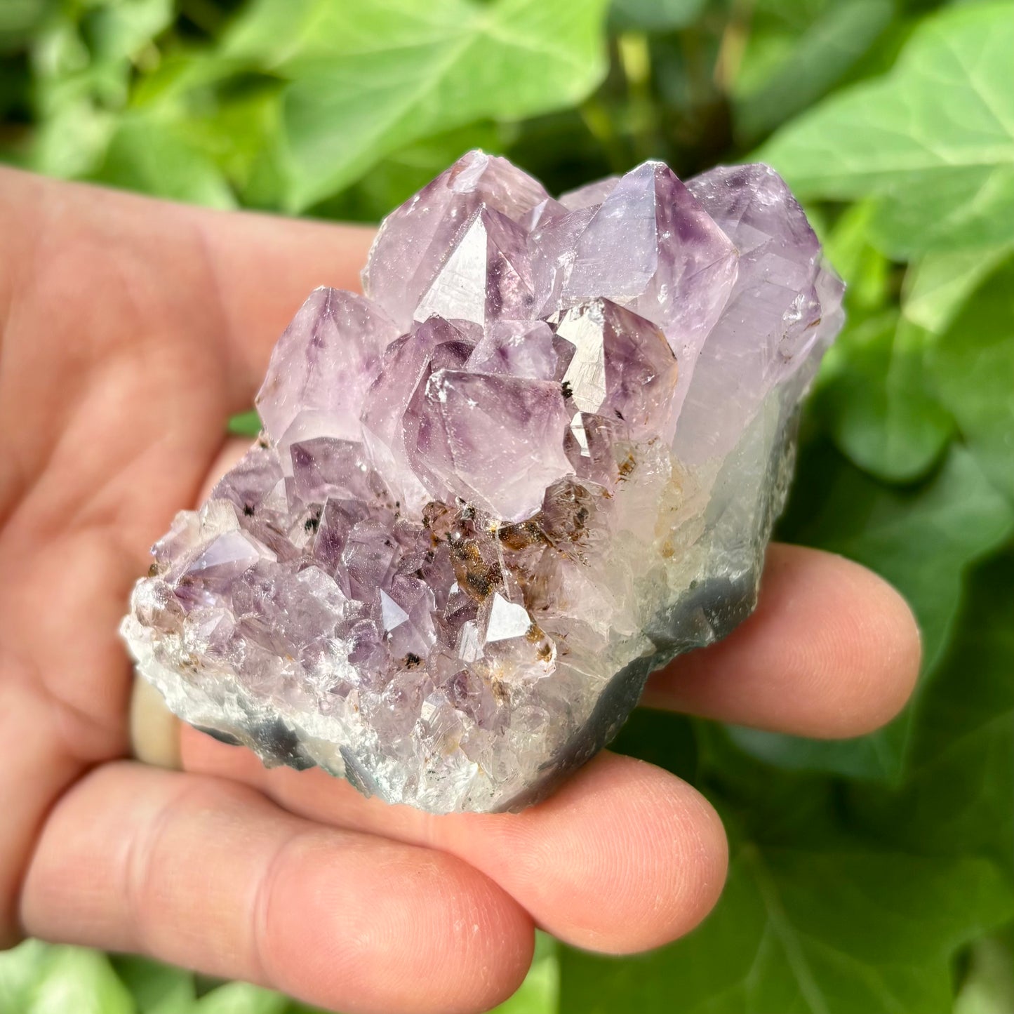 Ametyst klynge Brasilien nr 11 Ametyst klynge Brasilien nr 11