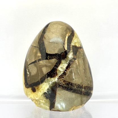 Septarie drusy skulptur 9 cm | nr. 3