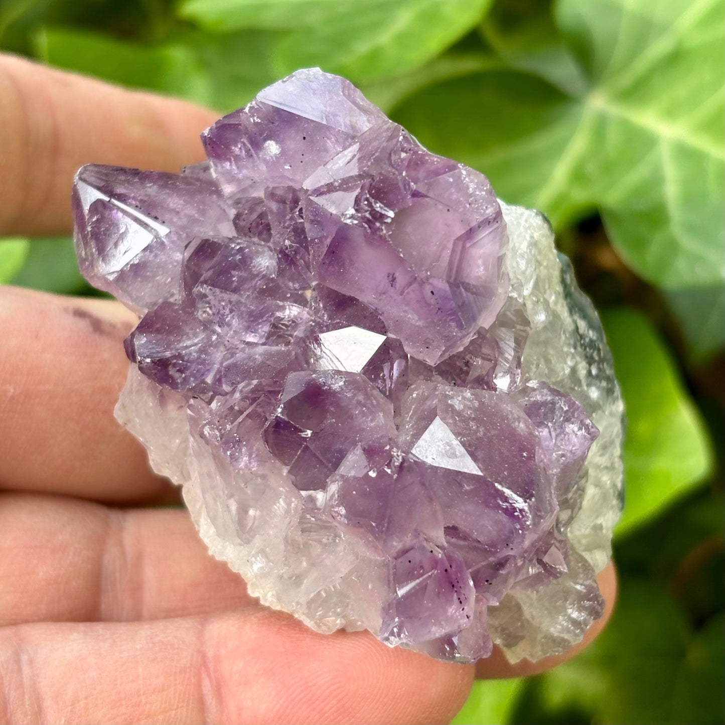 Ametyst klynge Uruguay nr 11 Ametyst klynge Uruguay nr 11