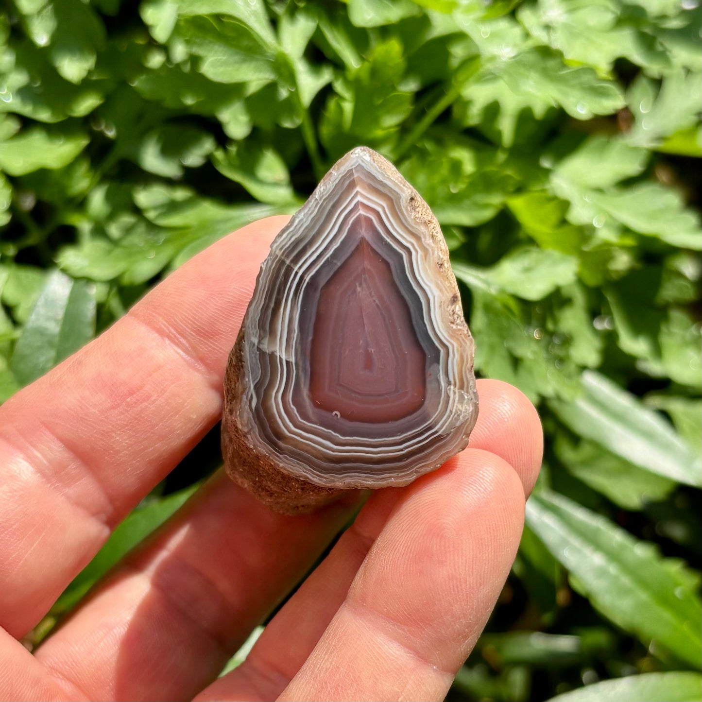 Sashe Agat nodule 10 | portal Sashe Agat nodule 10 | portal