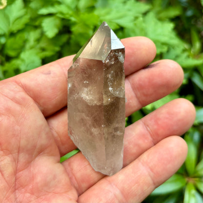 Skardu Røgkvarts naturlig 7,5 cm