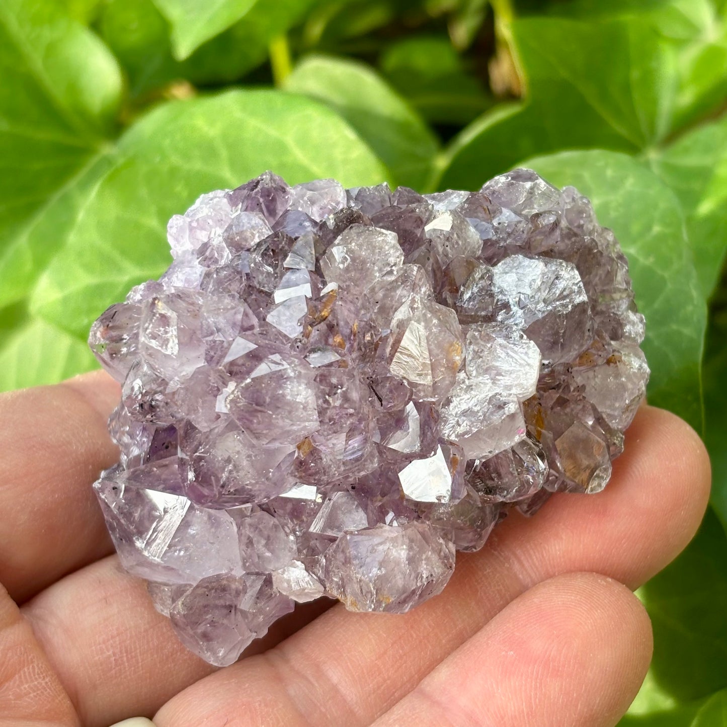 Ametyst klynge Brasilien nr 12 Ametyst klynge Brasilien nr 12