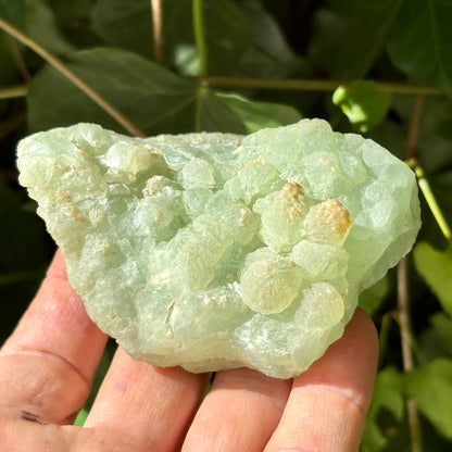 Prehnit klynge Botryoidal 9 cm | nr 4