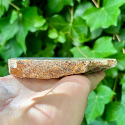Blonde agat crazy lace 12 cm | nr 4