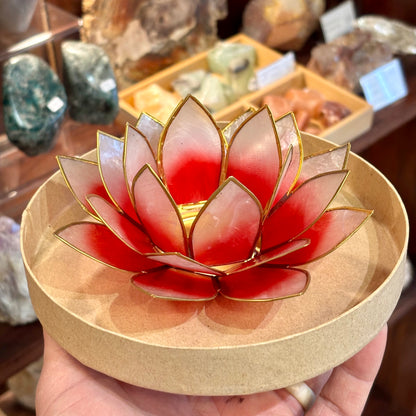 Pink Lotus lysestage i Capiz skaller 13,5 cm