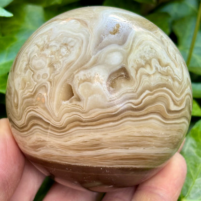 Amber flower Calcit Kugle fra Myanmar - 7,3 cm | nr. 6