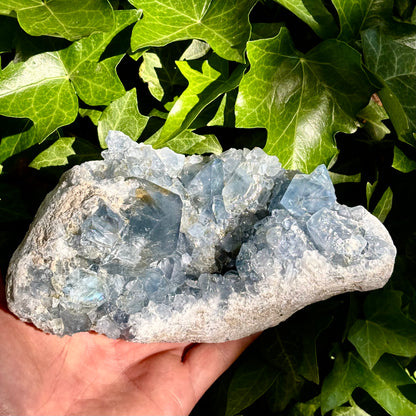 Celestit geodebrud - 19 cm