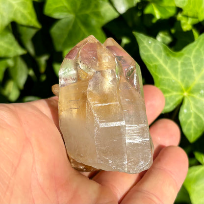 Bjergkrystal klynge dobbelt spids, ultra klar og gylden 6,5 cm