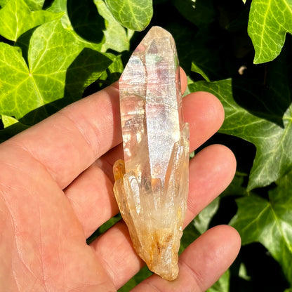Bjergkrystal spids, ultra klar, særlig termination, og gylden 9,5 cm