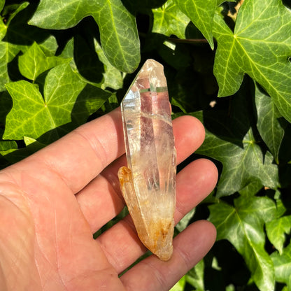Bjergkrystal spids, ultra klar, særlig termination, og gylden 9,5 cm
