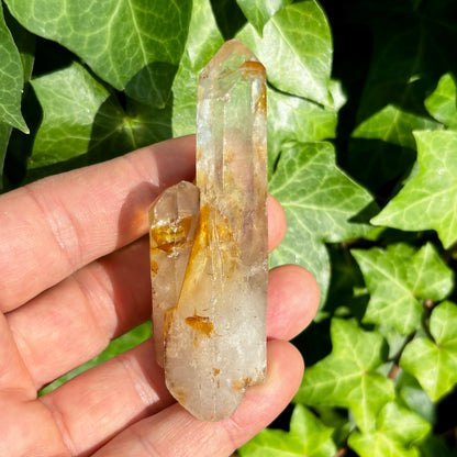 Bjergkrystal spids, ultra klar, og gylden 9,5 cm