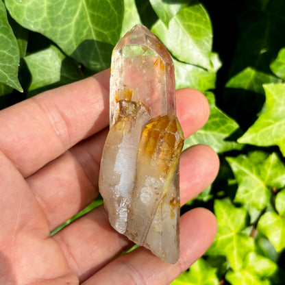 Bjergkrystal spids, ultra klar, og gylden 9,5 cm