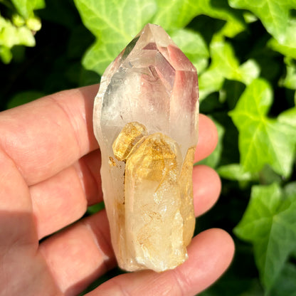 Bjergkrystal spids, ultra klar, og gylden 8,5 cm