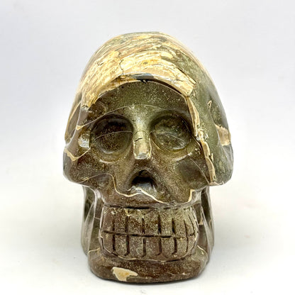 Sjældent Ammonit kranie 10,5 cm