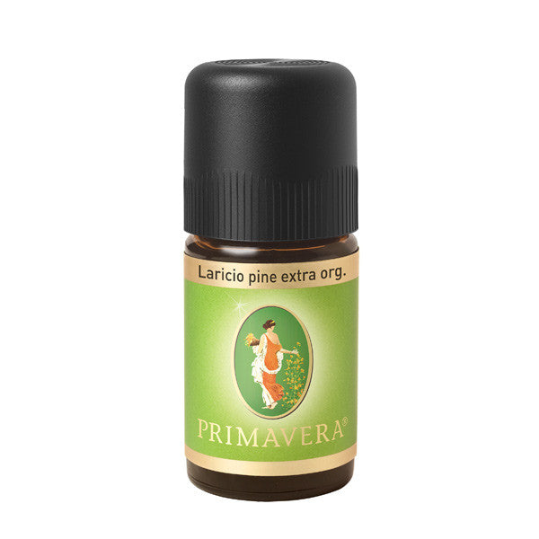 Primavera: Corsican Black Pine 5 ml Primavera: Corsican Black Pine 5 ml