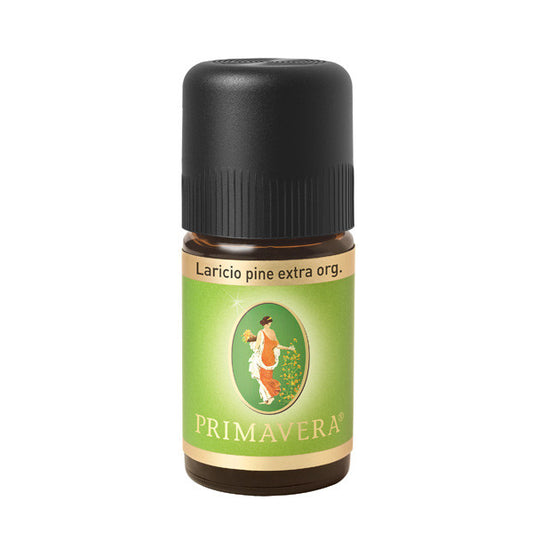 Billede af Primavera: Corsican Black Pine 5 ml